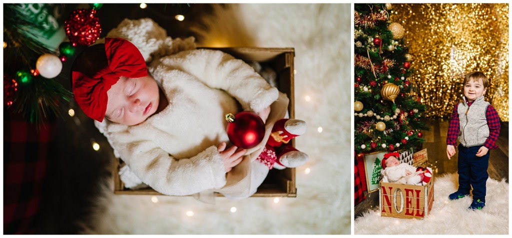 Pgh Christmas Mini Session Photographer_0021