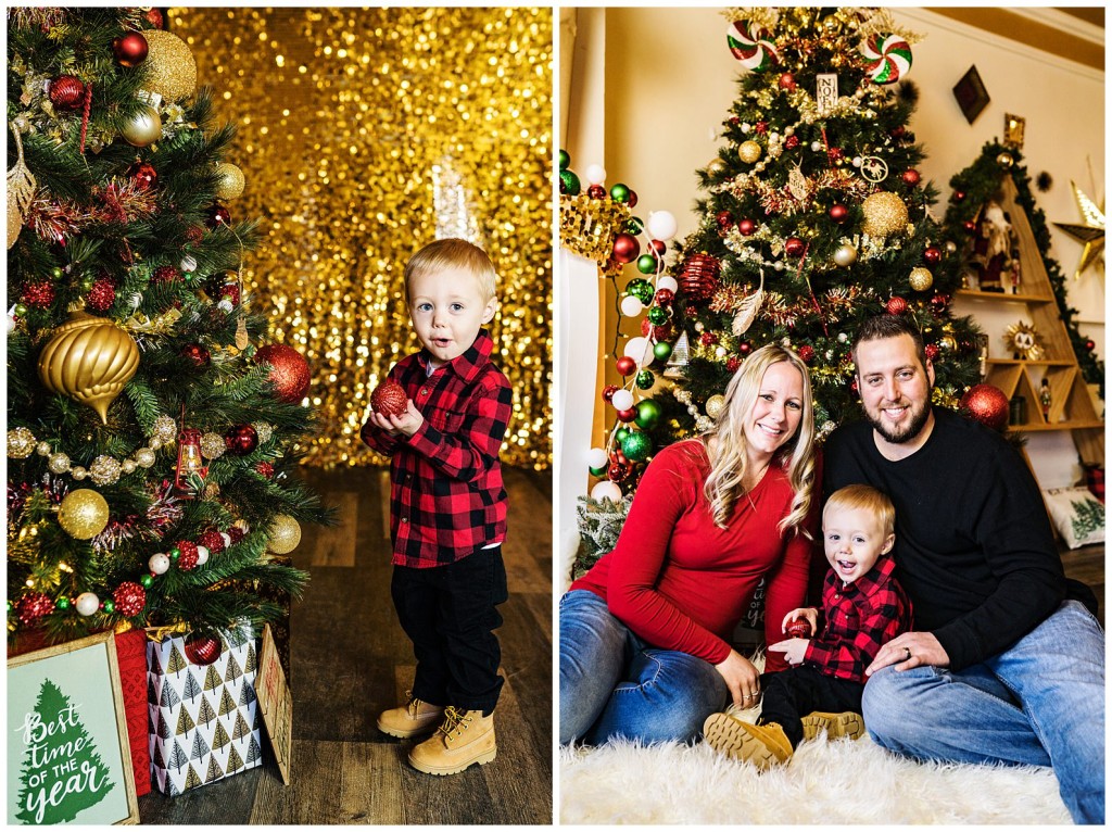 Pgh Christmas Mini Session Photographer_0026