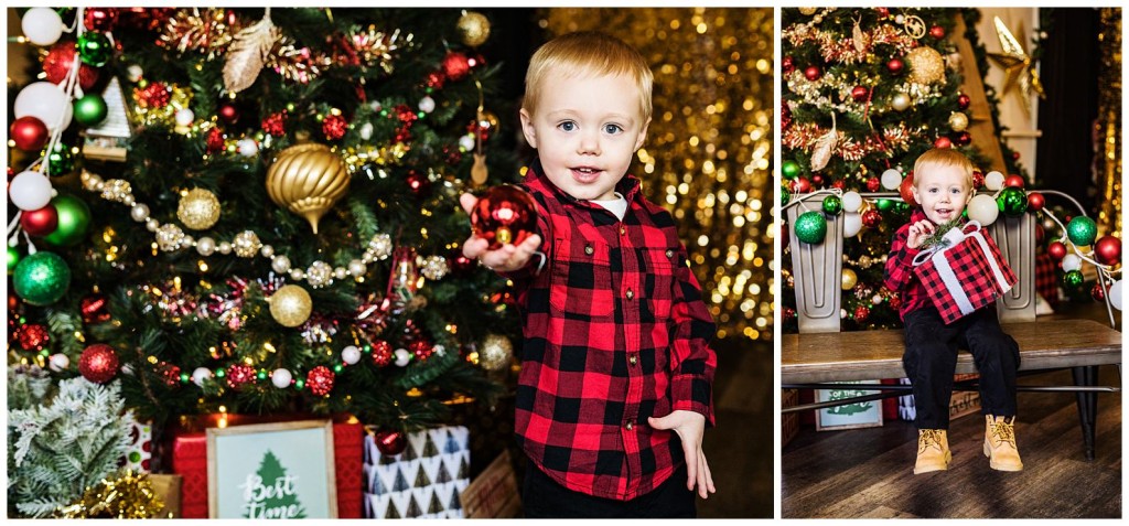 Pgh Christmas Mini Session Photographer_0027