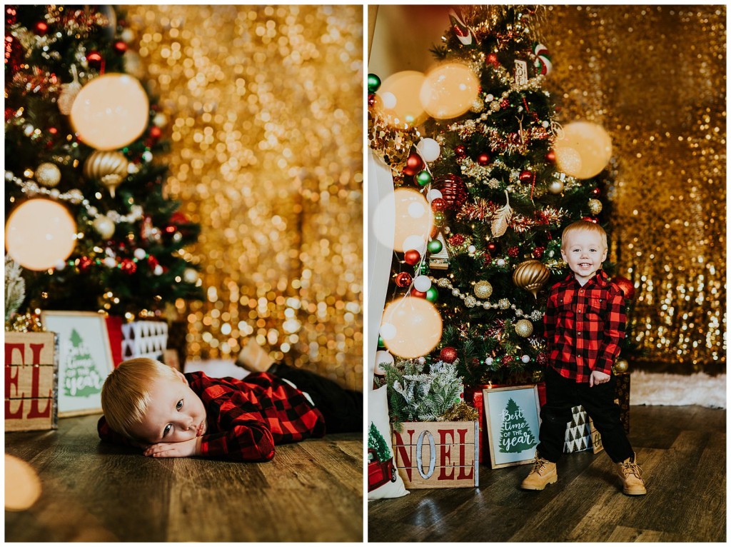 Pgh Christmas Mini Session Photographer_0028