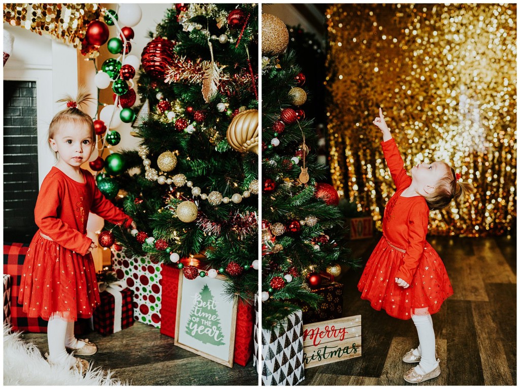 Pgh Christmas Mini Session Photographer_0044