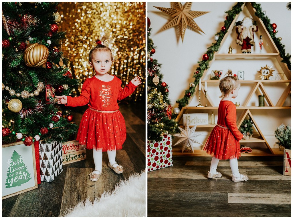 Pgh Christmas Mini Session Photographer_0045