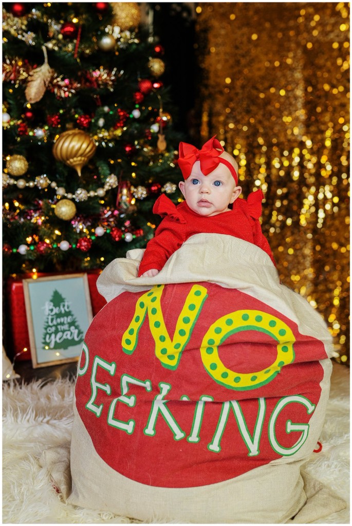 Pgh Christmas Mini Session Photographer_0052