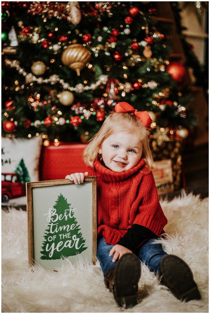 Pgh Christmas Mini Session Photographer_0059