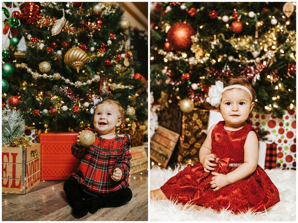 Pgh Christmas Mini Session Photographer_0064