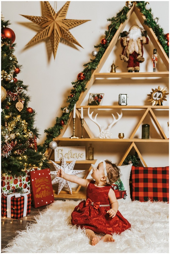 Pgh Christmas Mini Session Photographer_0065