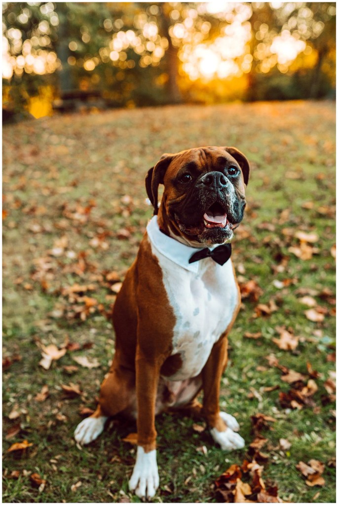 CTG Photography-Pgh Photographer 2019 favorites_0094