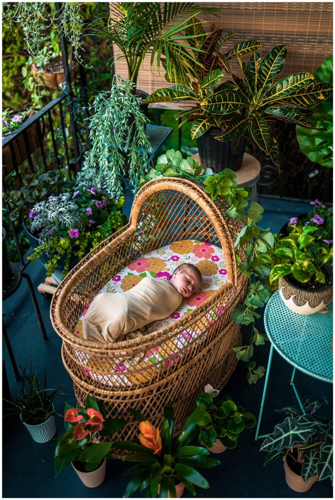 Greenery Newborn Session- Pgh Newborn Photographer- Florence_0001