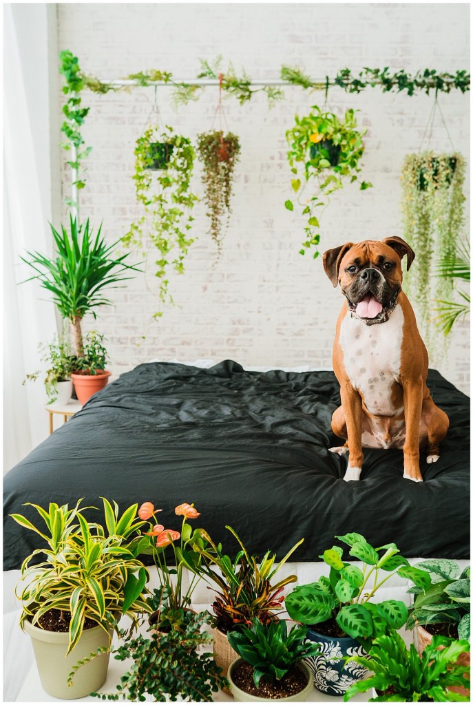 Greenery Themed Mini Sessions_0024