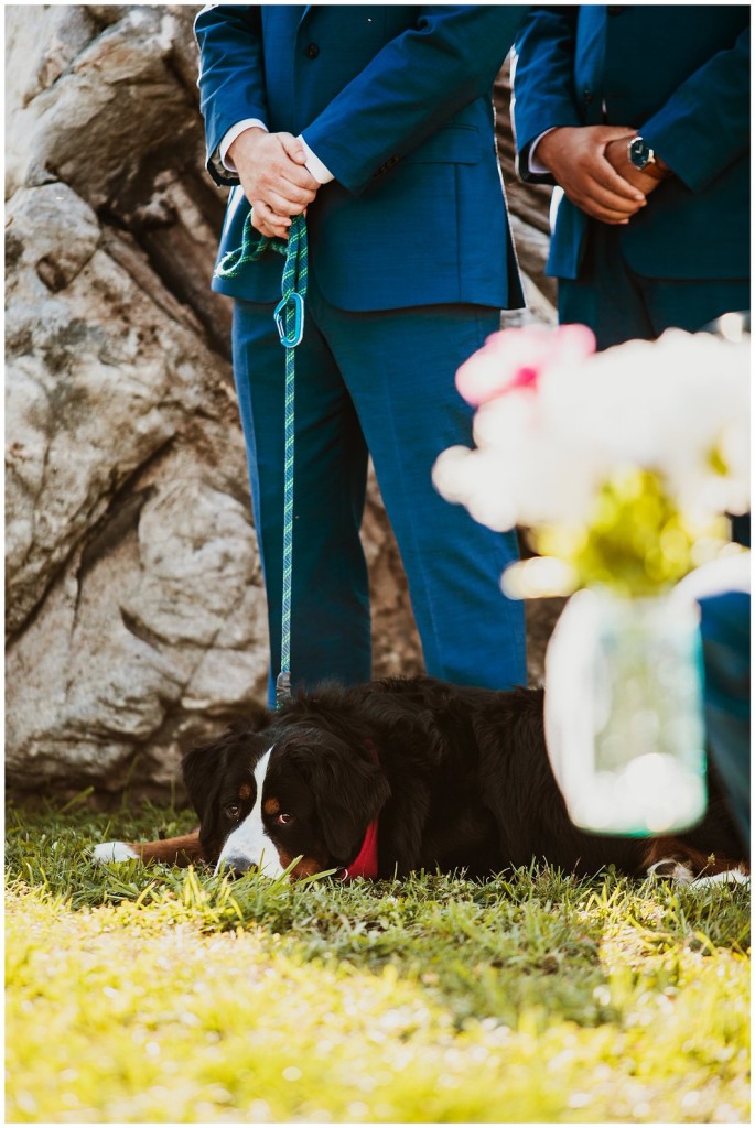 Pinerock Farm Wedding Photos_0112