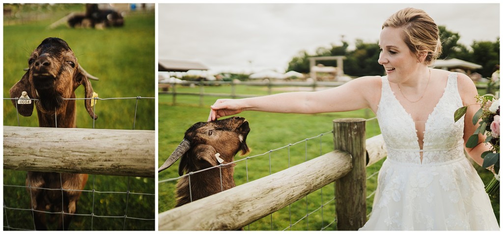 Iron Mills Fall Wedding Photos8