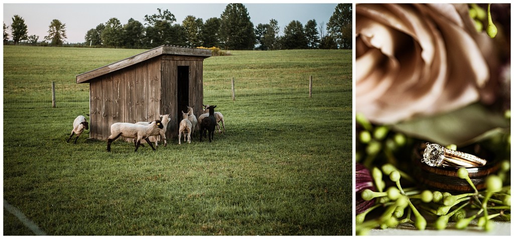 Iron Mills Fall Wedding Photos82