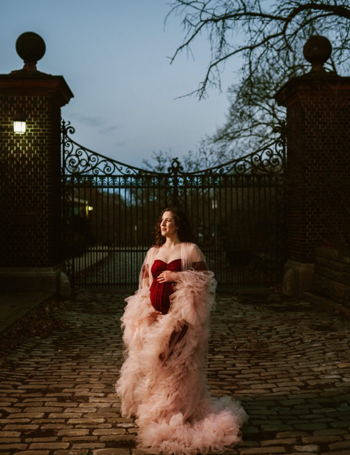 Pittsburhgh Maternity Photographer--4